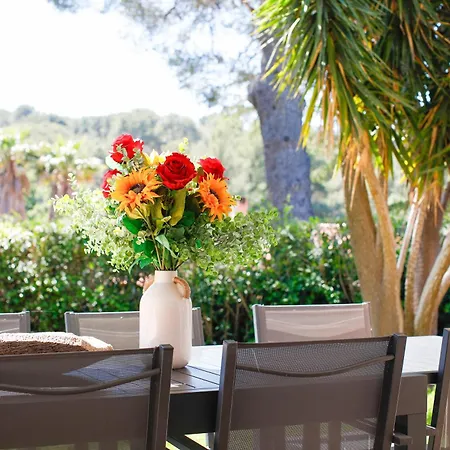 Vue I Calme I Verdoyant I 8 Pers I Clim I Bbq