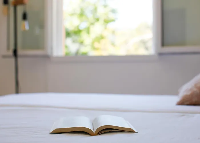 Villa Vue I Calme I Verdoyant I 8 Pers I Clim I Bbq Hyères